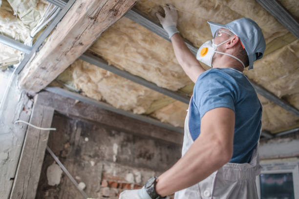 Best Insulation Installation Services in Paddock Lake, WI